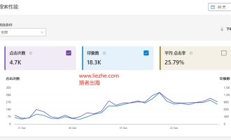 域名对网站SEO排名影响详细解读